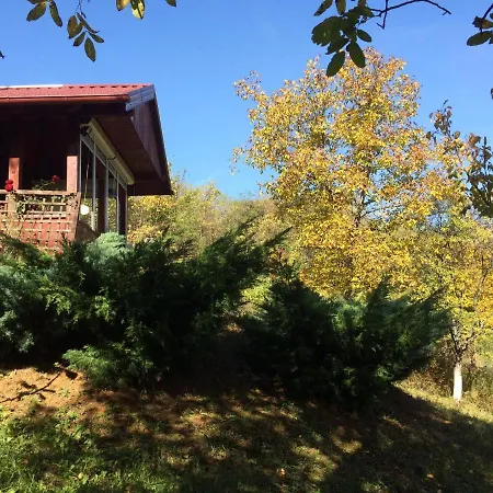 Nanin 2 فردنيك