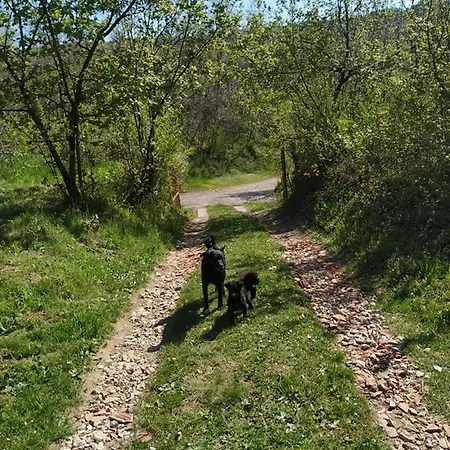Nanin 2 * Vrdnik