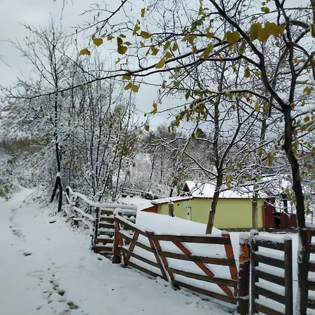 Nanin 2 Vrdnik