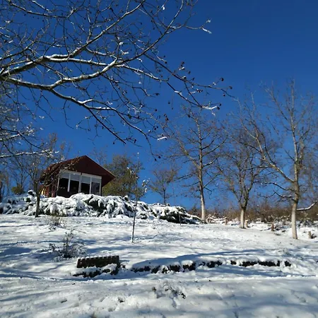 Tatil Evi Nanin 2 Vrdnik