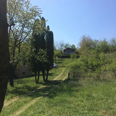 Nanin 2 Vrdnik