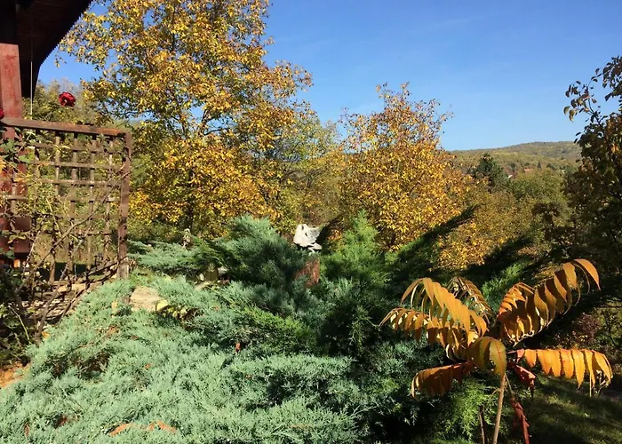 Дом отдыха Nanin 2