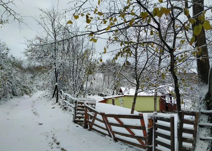 Nanin 2 Врдник