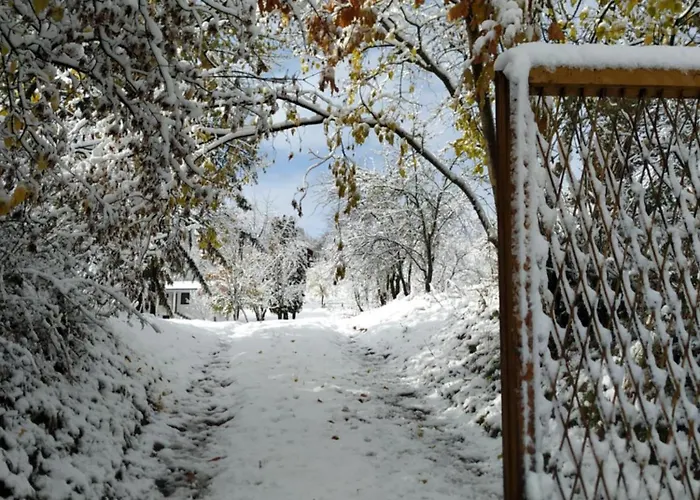 Nanin 2 * 维尔蒂尼克