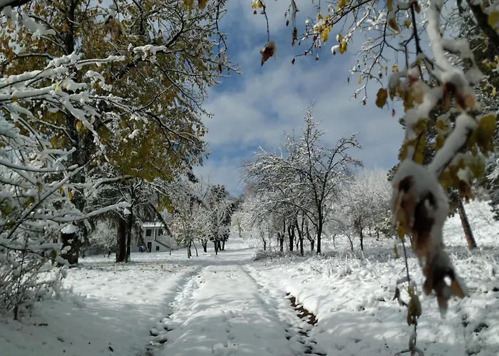 Дом отдыха Nanin 2