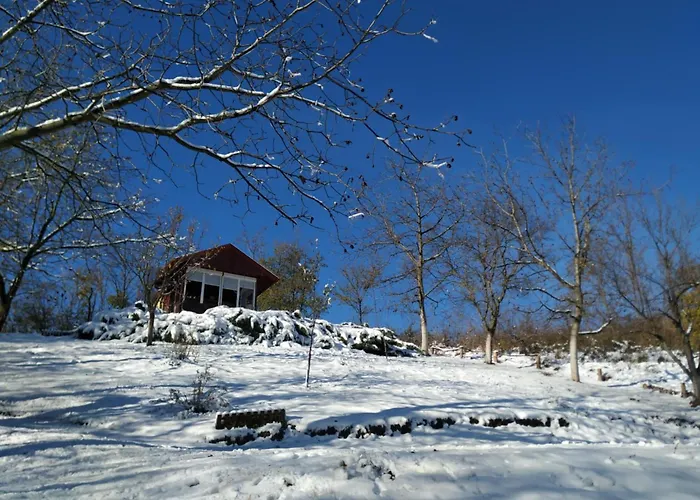 度假居 Nanin 2 维尔蒂尼克