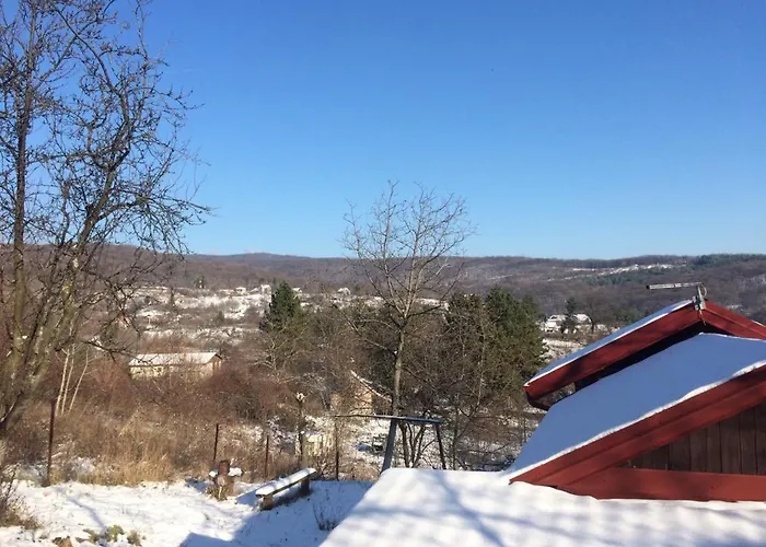 Nanin 2 维尔蒂尼克