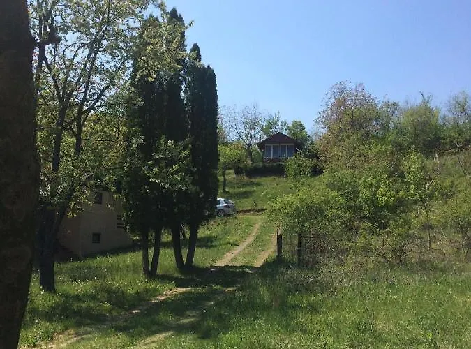 Nanin 2 Врдник